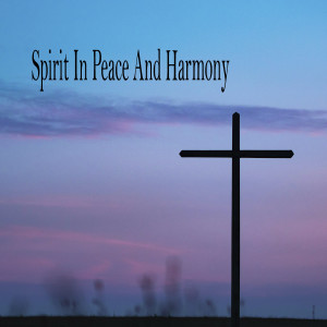 Instrumental Cristiano的專輯Spirit In Peace And Harmony