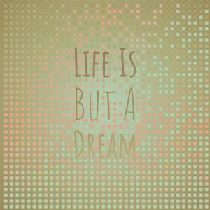 收聽Hula Hawaiian Quartett的Domingo Santo Domingo歌詞歌曲