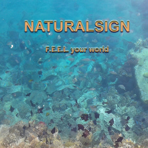 Dengarkan lagu Wait for Love nyanyian Naturalsign dengan lirik