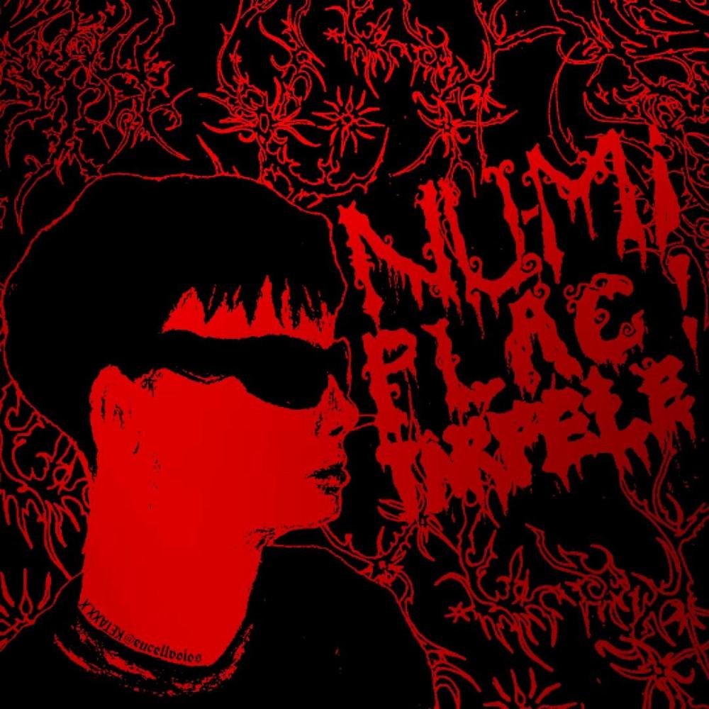 Nu mi plac (feat. Ketaxx) (Explicit)