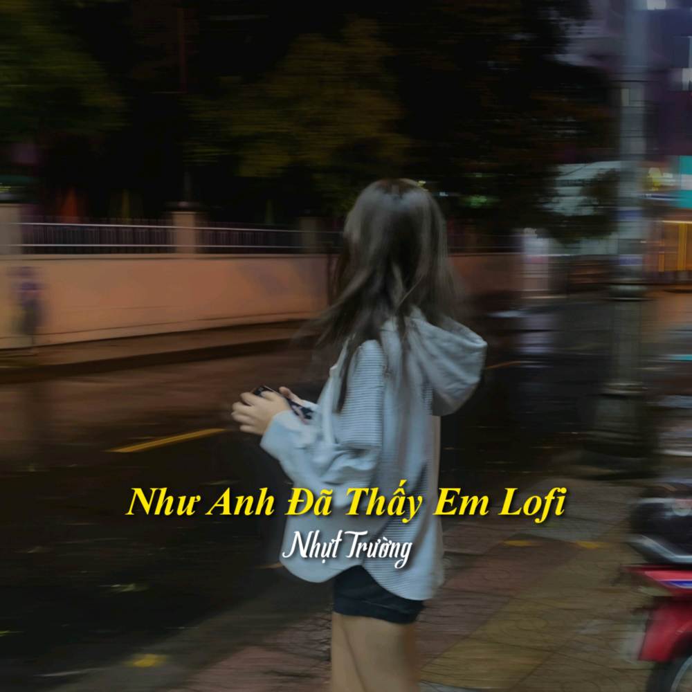 Như Anh Đã Thấy Em (Lofi)
