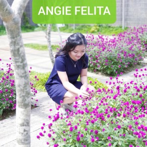Angie Felita的專輯Bapa Yang Nyata