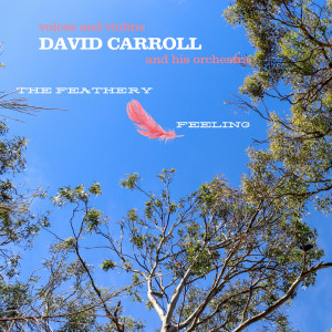 David Carroll And His Orchestra的專輯The Feathery Feeling