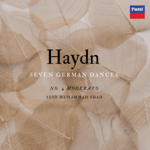 Franz Joseph Haydn的專輯Haydn SGD: Moderato No.4