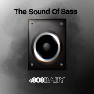 ดาวน์โหลดและฟังเพลง Rounds in พร้อมเนื้อเพลงจาก The 808 Baby