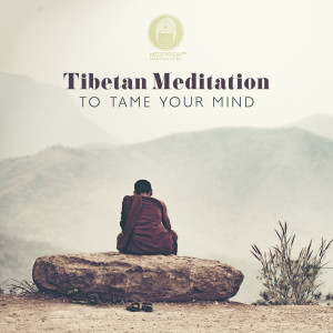 อัลบัม Tibetan Meditation to Tame Your Mind ศิลปิน Meditation Mantras Guru