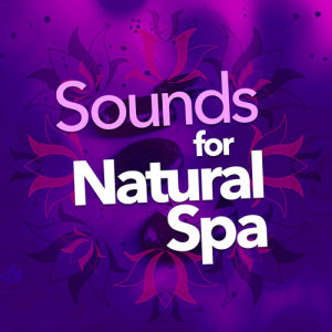 ดาวน์โหลดและฟังเพลง Mossland Birdhide พร้อมเนื้อเพลงจาก Nature Sounds