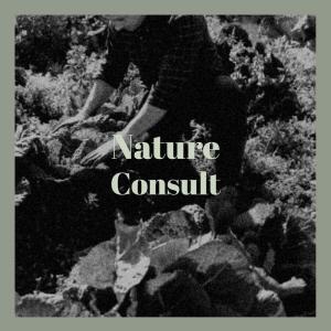 Album Nature Consult from Various