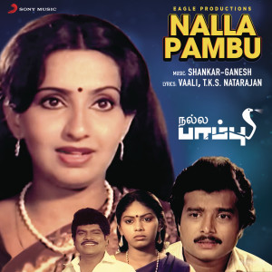 ดาวน์โหลดและฟังเพลง Sagara Sangamam พร้อมเนื้อเพลงจาก K.S. Chithra