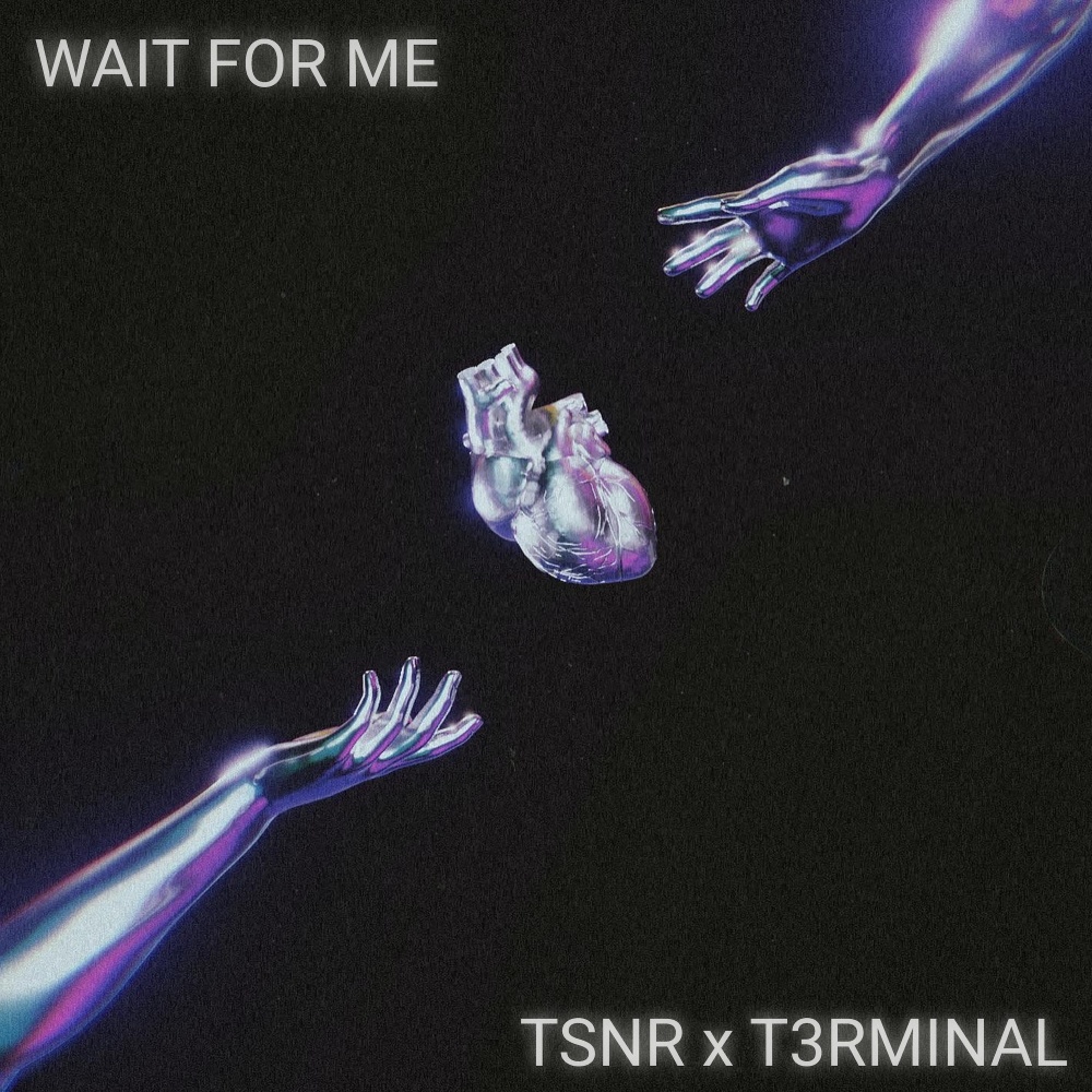 Wait For Me (feat. T3rminal) (Extended Mix)