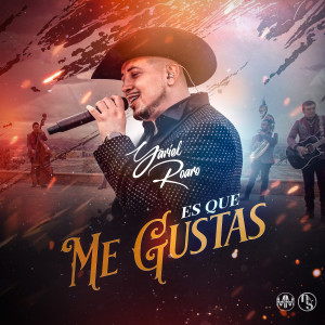 YARIEL ROARO的專輯Es Que Me Gustas (En Vivo)