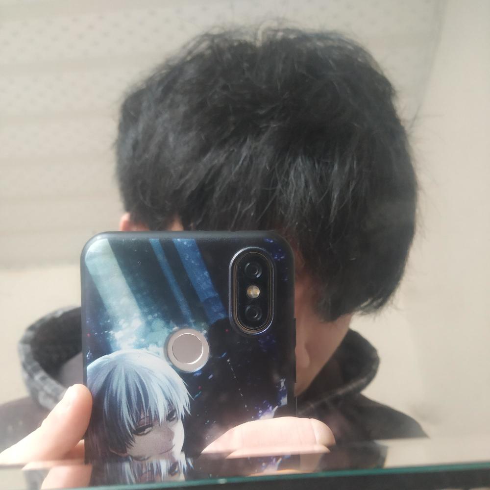 叶杨