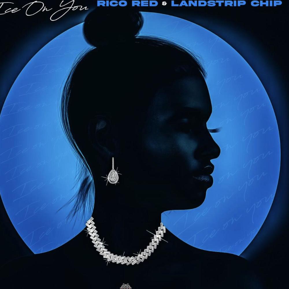 ice on you (feat. landstrip chip) (Explicit)