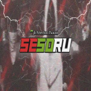 Listen to SeSoRu (Explicit) song with lyrics from Palmica