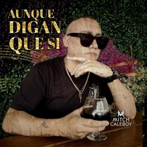 ดาวน์โหลดและฟังเพลง Aunque Digan Que Si พร้อมเนื้อเพลงจาก Mitch Caleboy