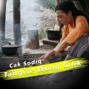 Tangse Wong Cilik