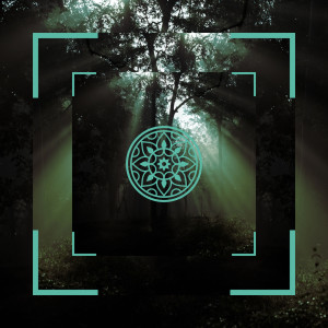 Album Canções de ioga relaxantes from Música de Sono