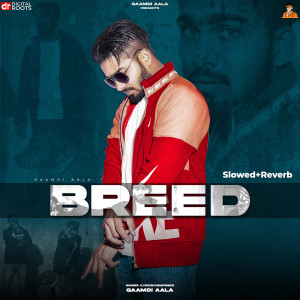 Listen to Breed (Slowed+Reverb) (Explicit) song with lyrics from Gaamdi Aala