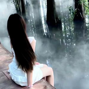 Listen to 何时人间重相逢 song with lyrics from 殿礼