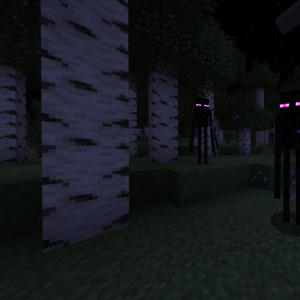 ดาวน์โหลดและฟังเพลง Endermen (Explicit) พร้อมเนื้อเพลงจาก MIK8Y808