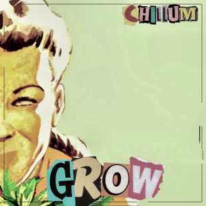 Chillum的专辑grow