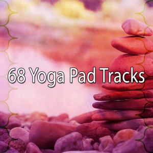 ดาวน์โหลดและฟังเพลง Evolving Mind พร้อมเนื้อเพลงจาก Asian Zen Spa Music Meditation