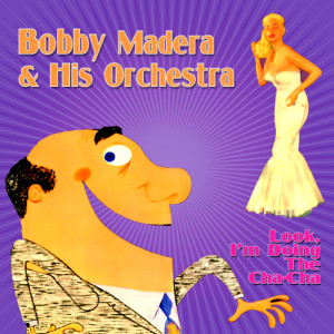 ดาวน์โหลดและฟังเพลง Why Not Me พร้อมเนื้อเพลงจาก Bobby Madera