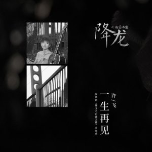 Album Forever Goodbye from 许飞