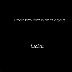 Pear Flowers Bloom Again dari Lucien