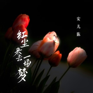 Listen to 红尘来去一场梦 (DJ九零版) song with lyrics from 安儿陈
