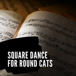 ดาวน์โหลดและฟังเพลง Peter Gunn พร้อมเนื้อเพลงจาก Jimmy & Marian McPartland