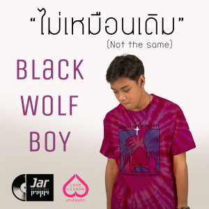 ดาวน์โหลดและฟังเพลง ไม่เหมือนเดิม พร้อมเนื้อเพลงจาก Blackwolf Boy