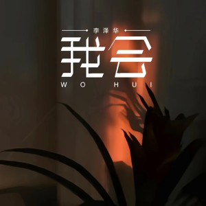 李泽华的专辑我会