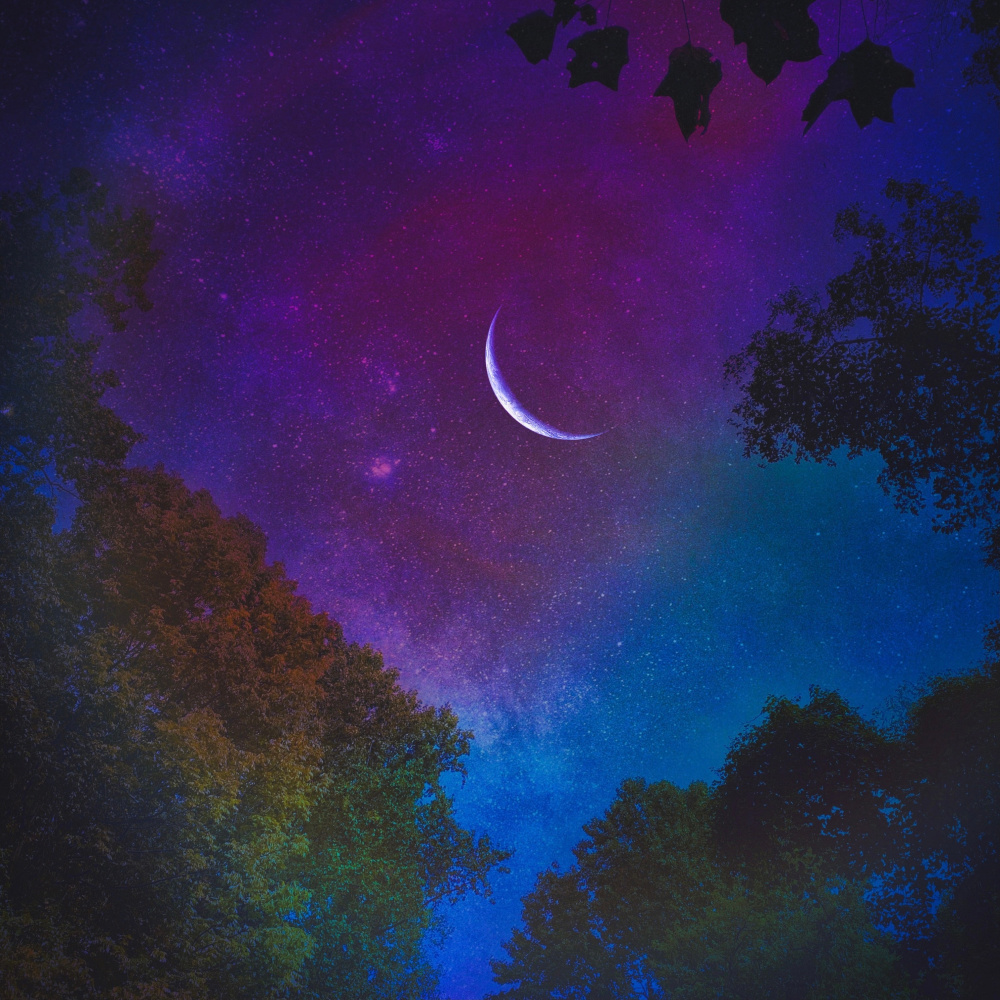 Planet
