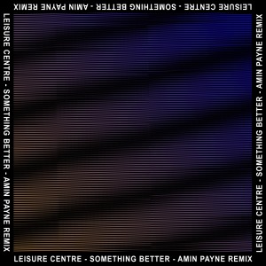 Amin Payne的專輯Something Better (Amin Payne Remix)