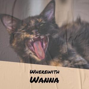 Listen to Healthy Living song with lyrics from Kinny Vanne