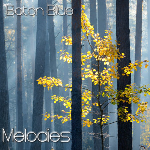 ดาวน์โหลดและฟังเพลง Mistery Song พร้อมเนื้อเพลงจาก Baton blue