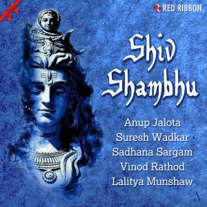 Album Shiv Shambhu from Suresh Wadkar