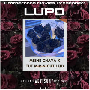 Lupo的專輯Meine Chaya X Tut mir nicht leid (Explicit)