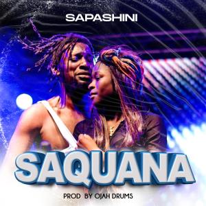 ดาวน์โหลดและฟังเพลง SAQUANA พร้อมเนื้อเพลงจาก Sapashini