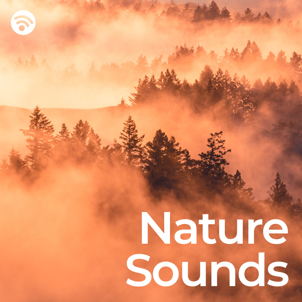 Wake up with Nature Sounds (No Fade, Loopable)