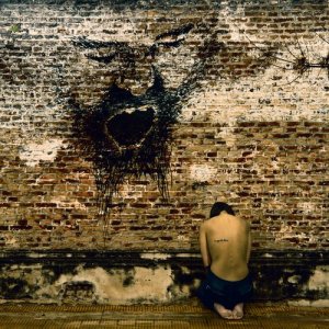 Los Peces的專輯Musica para Orgias