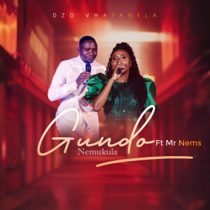 Album Dzo Vhafanela from 