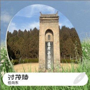 Album 过茂陵 (Demo) from 任向东