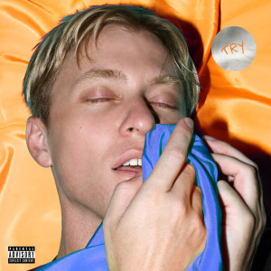 Album Try from The Drums