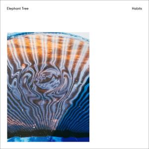ดาวน์โหลดและฟังเพลง The Fall Chorus พร้อมเนื้อเพลงจาก Elephant Tree