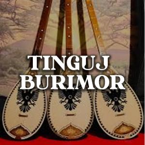 Listen to Tungjatjeta song with lyrics from Rifat Draga
