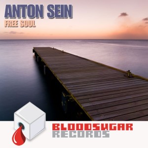 ดาวน์โหลดและฟังเพลง Free Soul พร้อมเนื้อเพลงจาก Anton Seim