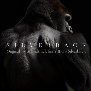 Album Silverback (Original TV Soundtrack from BBC's Silverback) oleh BYNON
