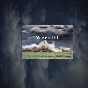 收聽Weestit的Tsunami (Explicit)歌詞歌曲